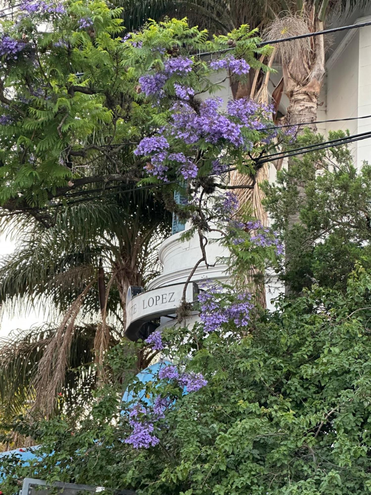 Hotel Vicente Lopez Exterior photo